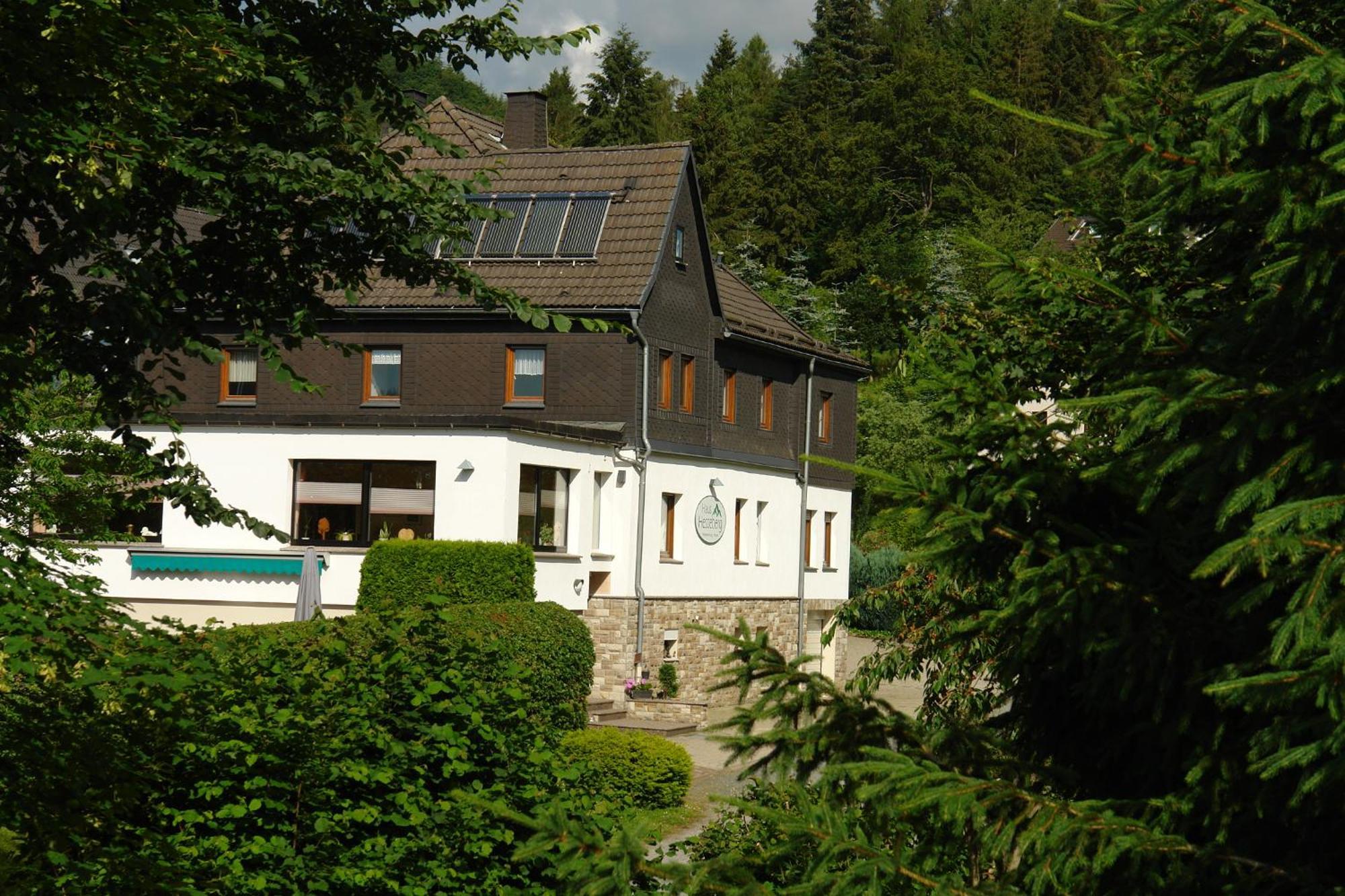 Hotel Haus Hesseberg à Medebach Extérieur photo